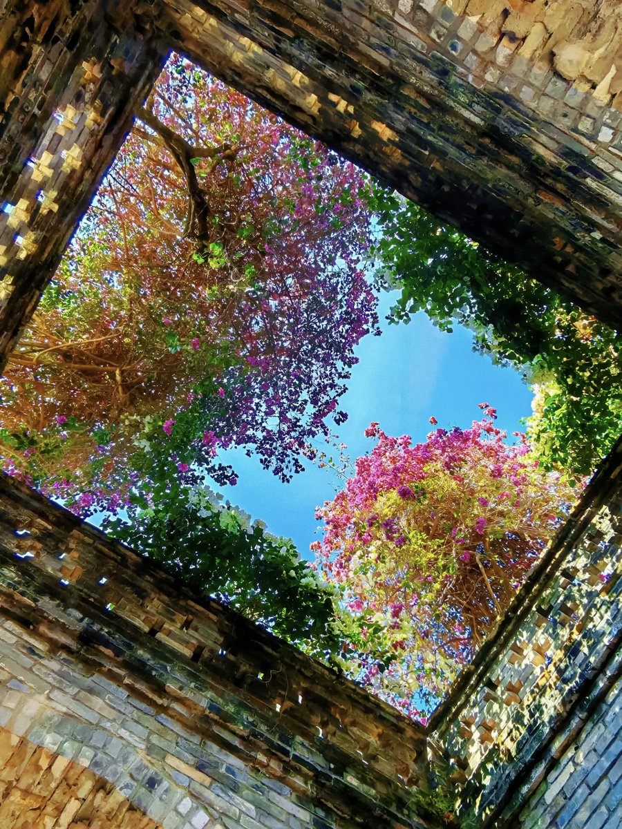 gardenofcolours's tweet photo. the earth showing off again https://t.co/OHqV5qHvy0