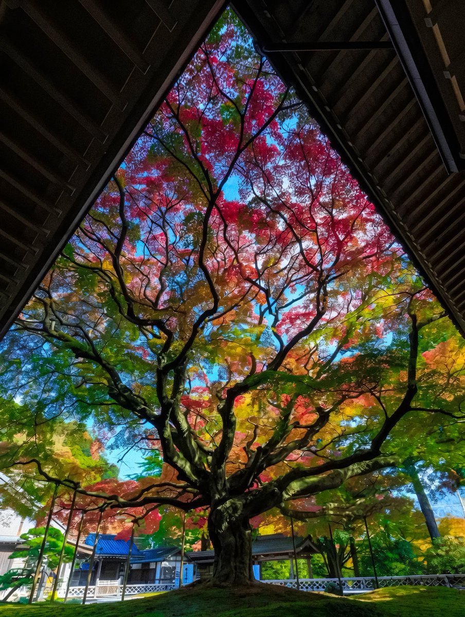 gardenofcolours's tweet photo. the earth showing off again https://t.co/OHqV5qHvy0