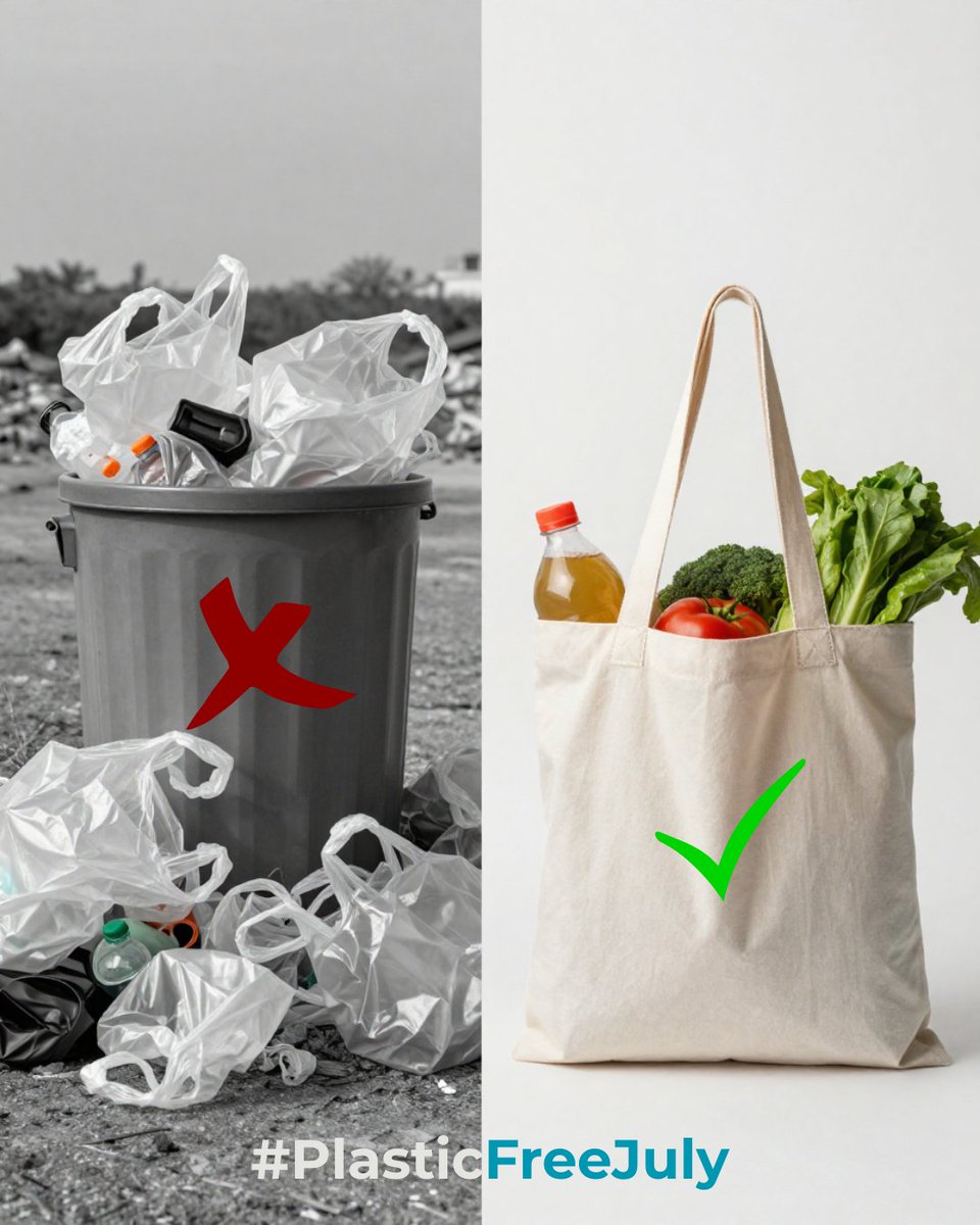ocwaste's tweet photo. Single-use plastic bags don't just disappear. Too often, they end up in the trash and, eventually, in our landfills. Bring a reusable bag instead and help reduce plastic waste, one trip at a time. 💚 #PlasticFreeJuly https://t.co/LlO4ckZN46