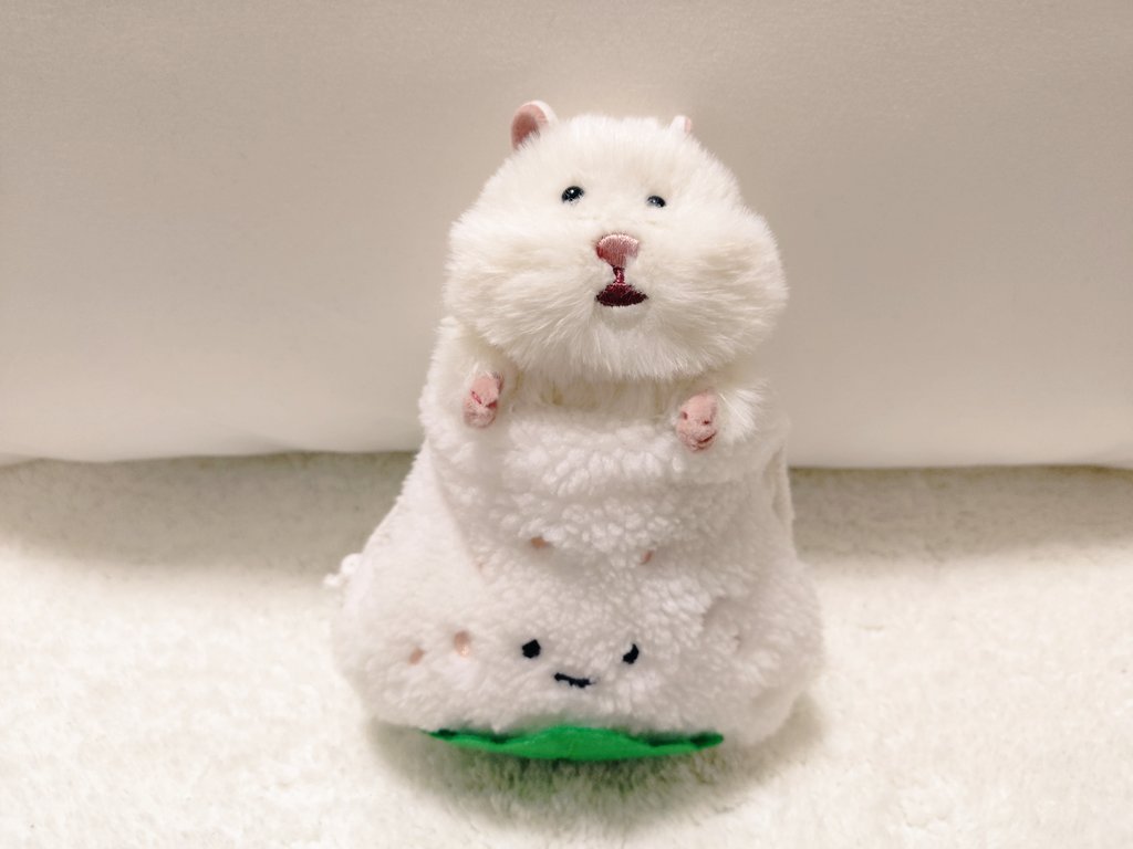 _imooimo_'s tweet photo. お出かけはおにぎりポーチで🍙
#はむにぎり https://t.co/lJNA9Lgh75