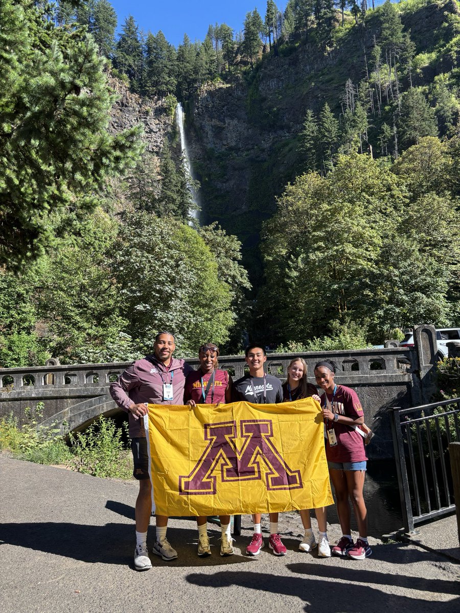 The Gopher Way tweet media