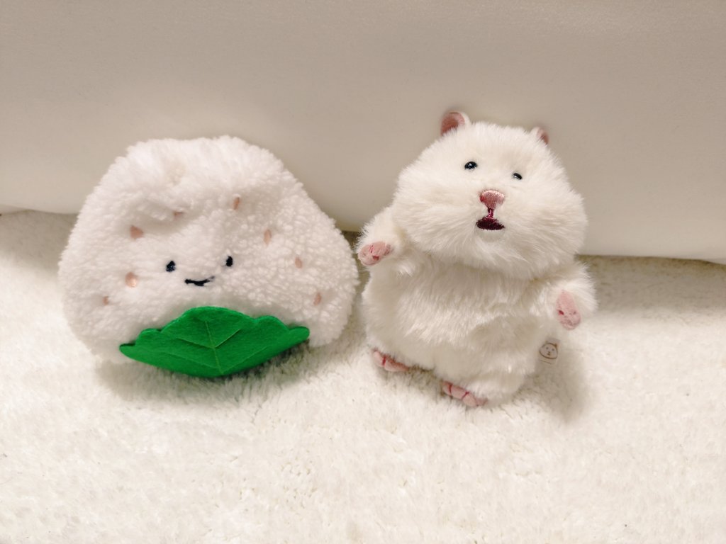 _imooimo_'s tweet photo. お出かけはおにぎりポーチで🍙
#はむにぎり https://t.co/lJNA9Lgh75