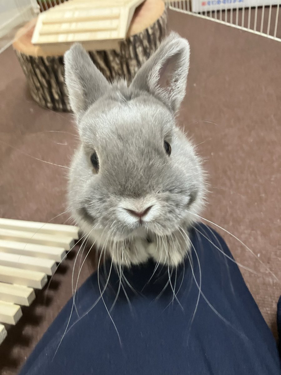 NUNpoipoi's tweet photo. https://t.co/JbYQn4efqP