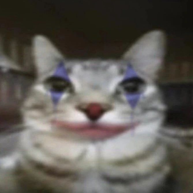 Punch Cat tweet media