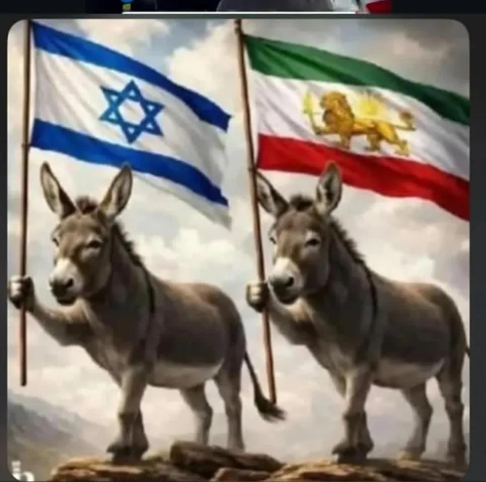 mohammadte86436's tweet photo. @PahlaviReza https://t.co/NYXD4SOs1F