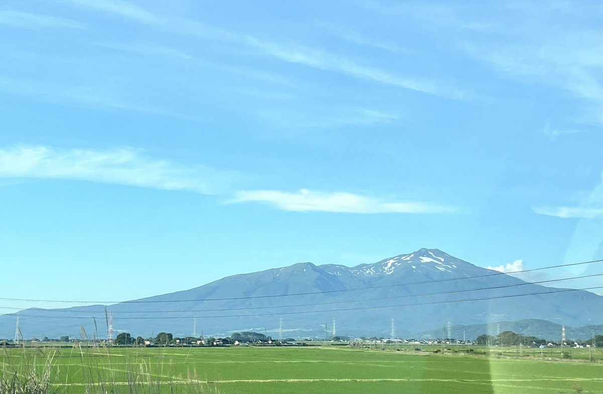 ikerpepp1's tweet photo. おはようございます🌿 https://t.co/fb3NUzEjCI