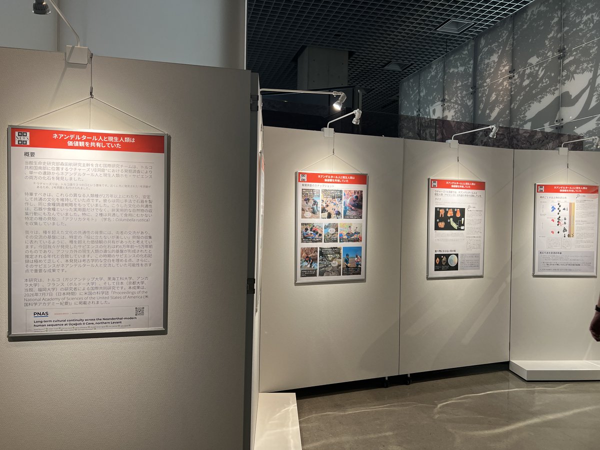museum_kahaku's tweet photo. ◤◢◤ 本　日　開　幕◢◤◢

科博NEWS展示
「ネアンデルタール人と現生人類は価値観を共有していた」

📅：2026年7月14日(火)～9月6日(日)
📍：#国立科学博物館 地球館地下2階
　　　　人類の進化コーナー通路

発掘現場の様子を、映像と写真で紹介します

🔽詳細はこちら
https://t.co/US9OJCeOjn https://t.co/ag4EWSiKdp