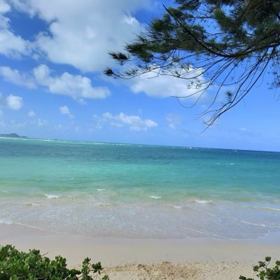 JayTheXfactor's tweet photo. #NewProfilePic https://t.co/OMKvY0xDyl