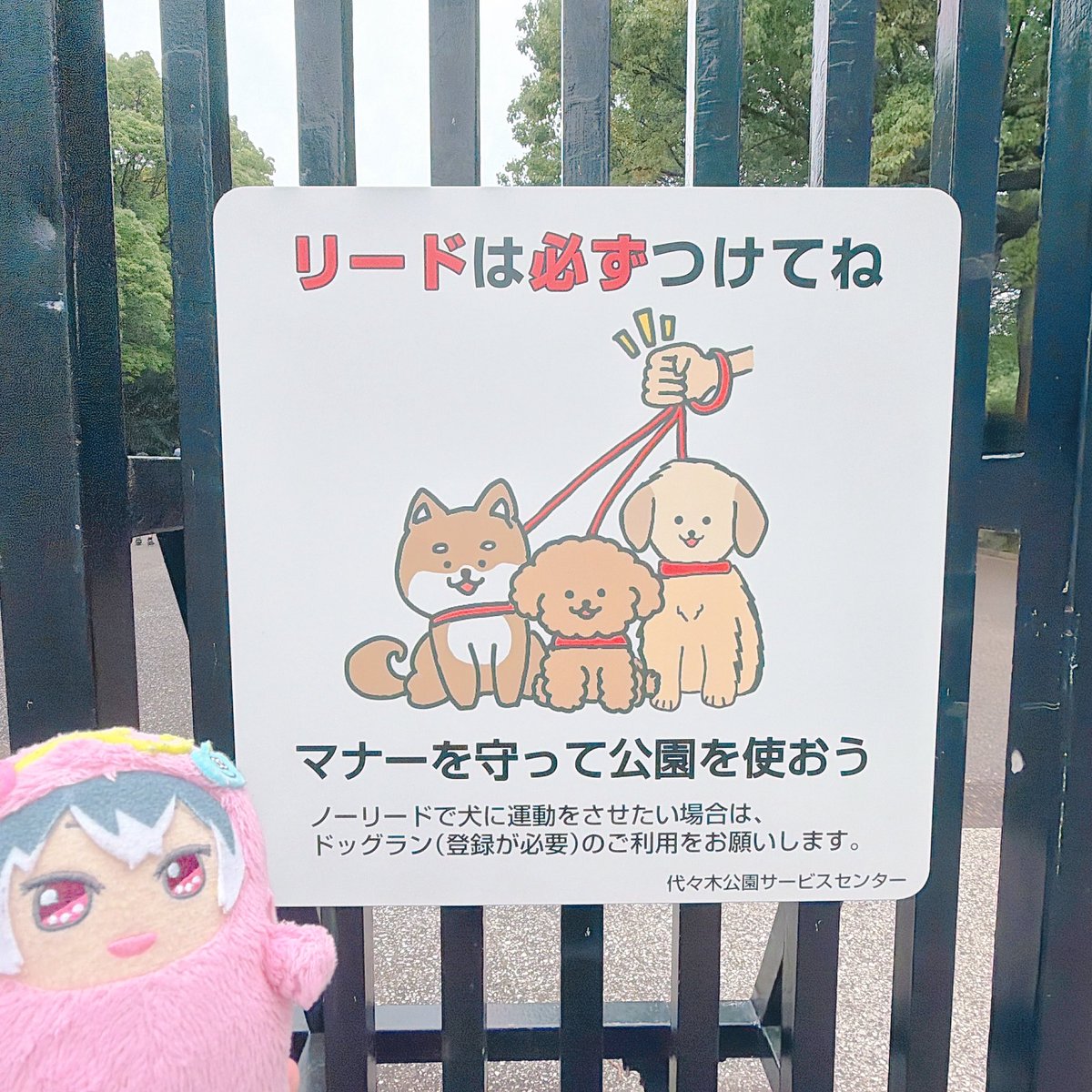 ☆☺︎‪☆ページの確認です 🍑⛓️🐯 (使おうやのに間違えて楽しもうと書いていることに今気づいた