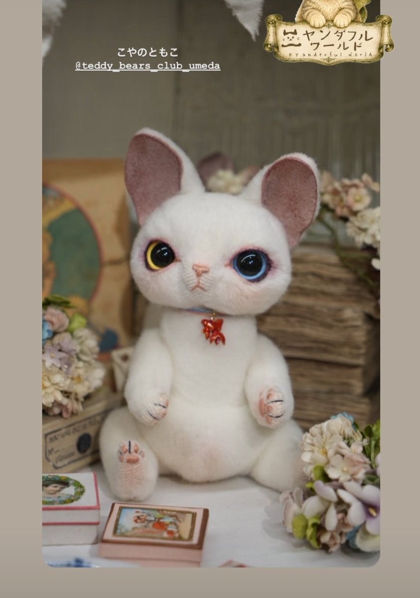 chocochan151515's tweet photo. ニャンダフルワールド７月15日からです🐱💕
暑い中お出かけの際は水分補給などしつつ
おいで下さいますようよろしくお願いいたします🙌💕 https://t.co/f2oGYe0oXK