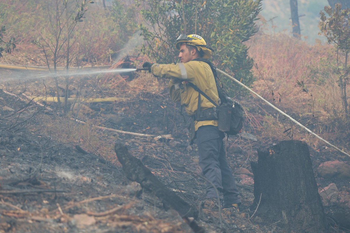CALFIRELNU's tweet photo. #LedsonFire UPDATE (4:45 pm): The evacuation order in place for zone SON-3H3 has been downgraded to an evacuation warning. For further evacuation information, visit https://t.co/ctoFrRi7MI
Pythian Road is back open.
For information on the fire, visit https://t.co/T4JVcSLwSb. https://t.co/x5Vu274LXw
