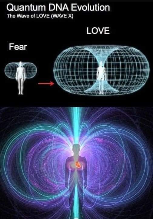 GalacticJack's tweet photo. Facts about the heart     A scientifically controlled study conducted by German researchers at the University of Kassel has shown that the chest area of an average person emits 20 light photons per second. So we glow faintly in the dark. But on the other hand, someone who meditates on their heart center and sends love and light to others achieves an amazing 100,000 photos per second emanating from the chest. That is 5000 times more than the average human being. Numerous studies have also shown that when these photos are filled with loving and healing intention, their frequency and vibrations increase to a point where they can literally change matter, heal diseases and transform negative events. The heart loves, feels, thinks, remembers and communicates with other hearts. It stores information and continuously pulses this information through the body at every rate. It's a lot more than modern science would have you believe. It is also a pump that pumps the cellular symphony which is the very core of your being and is a magnetic and radiating vortex and the true source of human superpower.