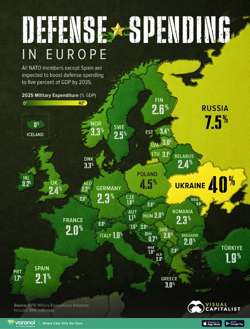 Visual Capitalist tweet media