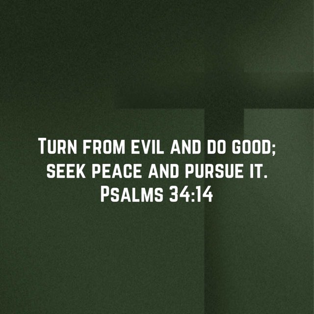 EricPel63232844's tweet photo. Turn from evil and do good; seek peace and pursue it. Psalms 34:14 #psalms3414 #turnfromevilanddogood #seekpeaceandpursueit #niv #oldtestament #oldtestamentverse #god #jesus #jesuschrist #jesuscalling #holyspirit #holybible #bible #bibleverse #bibleverseoftheday https://t.co/NqnBftWg7x