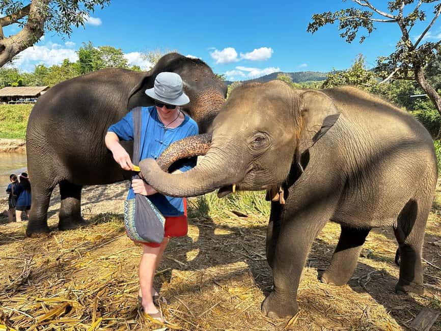 RocketBirdTrave's tweet photo. 🐘 Explore Chiang Mai Like Never Before!
✔ Hug Chang Elephant Sanctuary
✔ Wat Ban Den Temple
✔ Bua Tong Sticky Waterfall
Nature • Heritage • Adventure — All in One Tour!
📩 Exclusive B2B Rates Available with Rocket Bird Travel Thailand
#ChiangMai #ThailandTour #ThailandDMC https://t.co/cbHELOTWZu