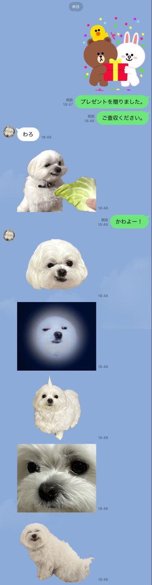 wb_o7's tweet photo. 𝐁𝐈𝐆 𝐋𝐎𝐕𝐄_____ https://t.co/tZpKXvQ1F9