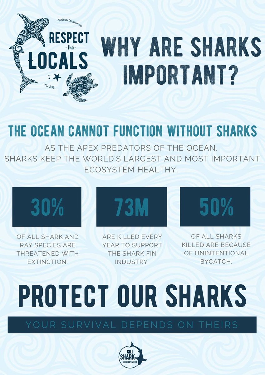 icedcoppei's tweet photo. It’s Shark Awareness Day!
#SharkAwarenessDay
#SavetheSharks
#ProtecttheSharks https://t.co/zjjLffwy0t
