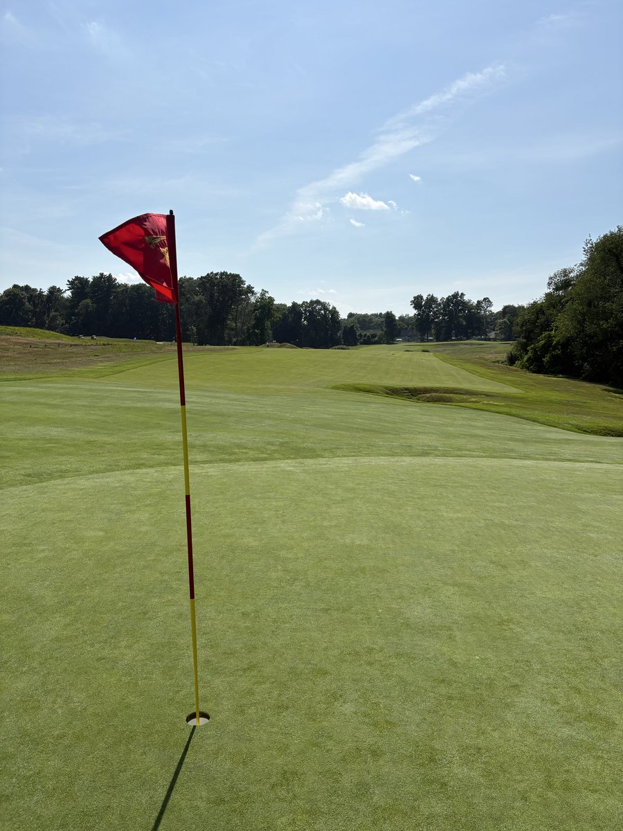 Bdeniso tweet media