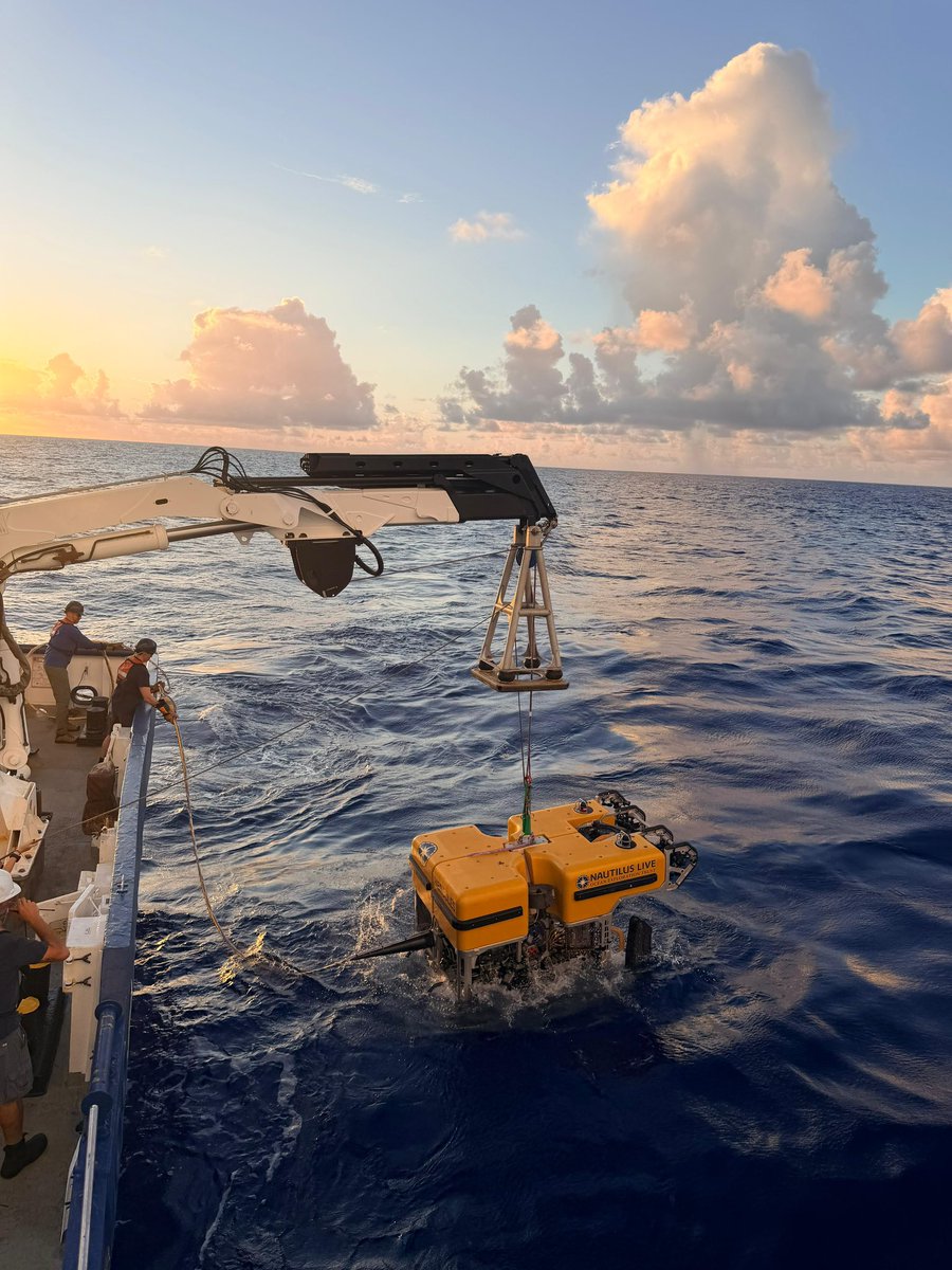 EVNautilus's tweet photo. 🚨 #DiveAlert! ROV Hercules is diving on Enrique Guyot- one of the oldest seamounts on the Pacific Plate. Watch live at https://t.co/zhUi3dQOeD https://t.co/Xb7vcYRaZm