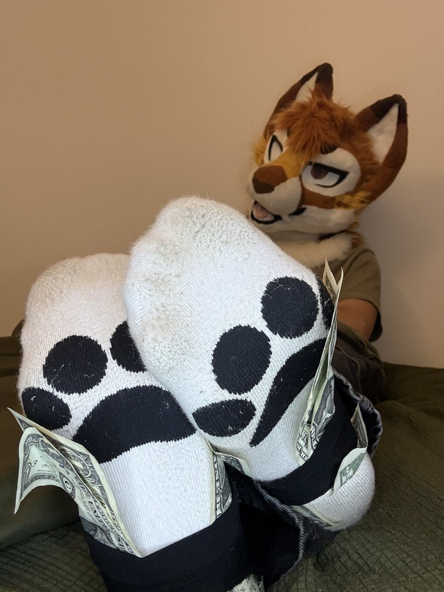 CrispySoxks's tweet photo. I accept Sniff n pay

#furryfindom https://t.co/m6BFgBdasB