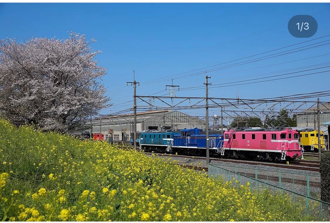 train_65535's tweet photo. あら、ここの桜切られてしまったのね…

虫とかにやられやすいからね。。。 https://t.co/rkd9ouYcRp
