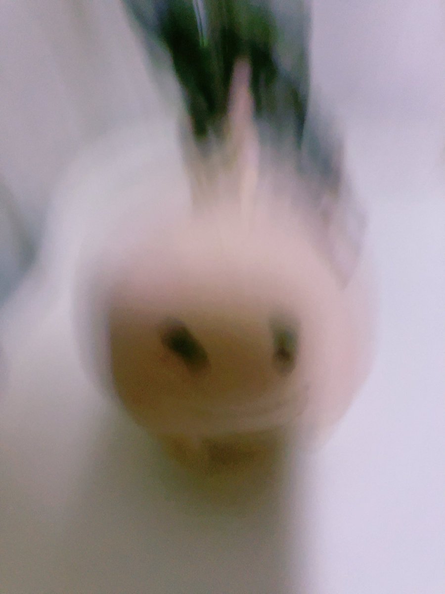 imanakanami's tweet photo. マンドーのアーツ、ニチアサのアーツ以上に変な扱いしてるかもしれない
何やっても面白くなるのがいけない
ツイッターのオタクのおもちゃにされてるようなライダーの面白ヴィランでもなかなかこういう面白さにはならない https://t.co/L4TwPnLYpl