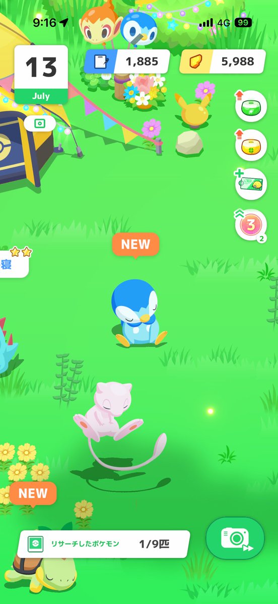 kazane_cocoa's tweet photo. #ポケスリ3周年をみんなで

初日からポッチャマきたあああああああああああ！！！！！ https://t.co/R1xfnojTcB