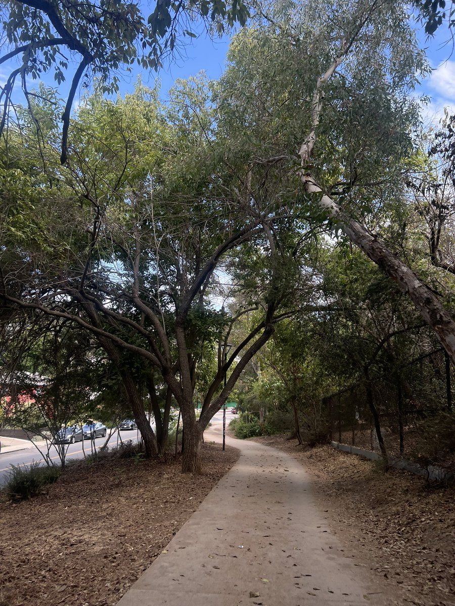 ilovenana2004's tweet photo. woke up at 1pm, ran the silverlake reservoir, paid $25 for a smoothie and acai, and listened to the past lives soundtrack #okaycool https://t.co/JKekKp7j6h