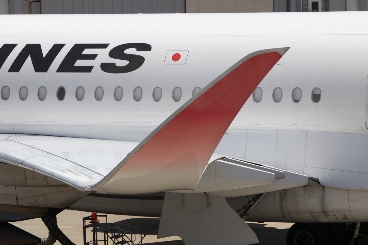__rotweiss__'s tweet photo. かわいいおててと、かわいいおちり( *¯ ꒳¯*)
🦭ぼくの方が可愛いよね！？

#JAL #A350 #パイロったん https://t.co/jHaQpyQ0wH