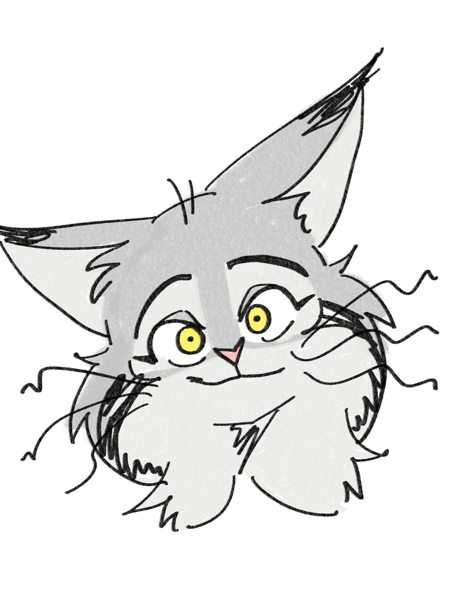 yanikasuc's tweet photo. パウバート https://t.co/o28tZw2ROr