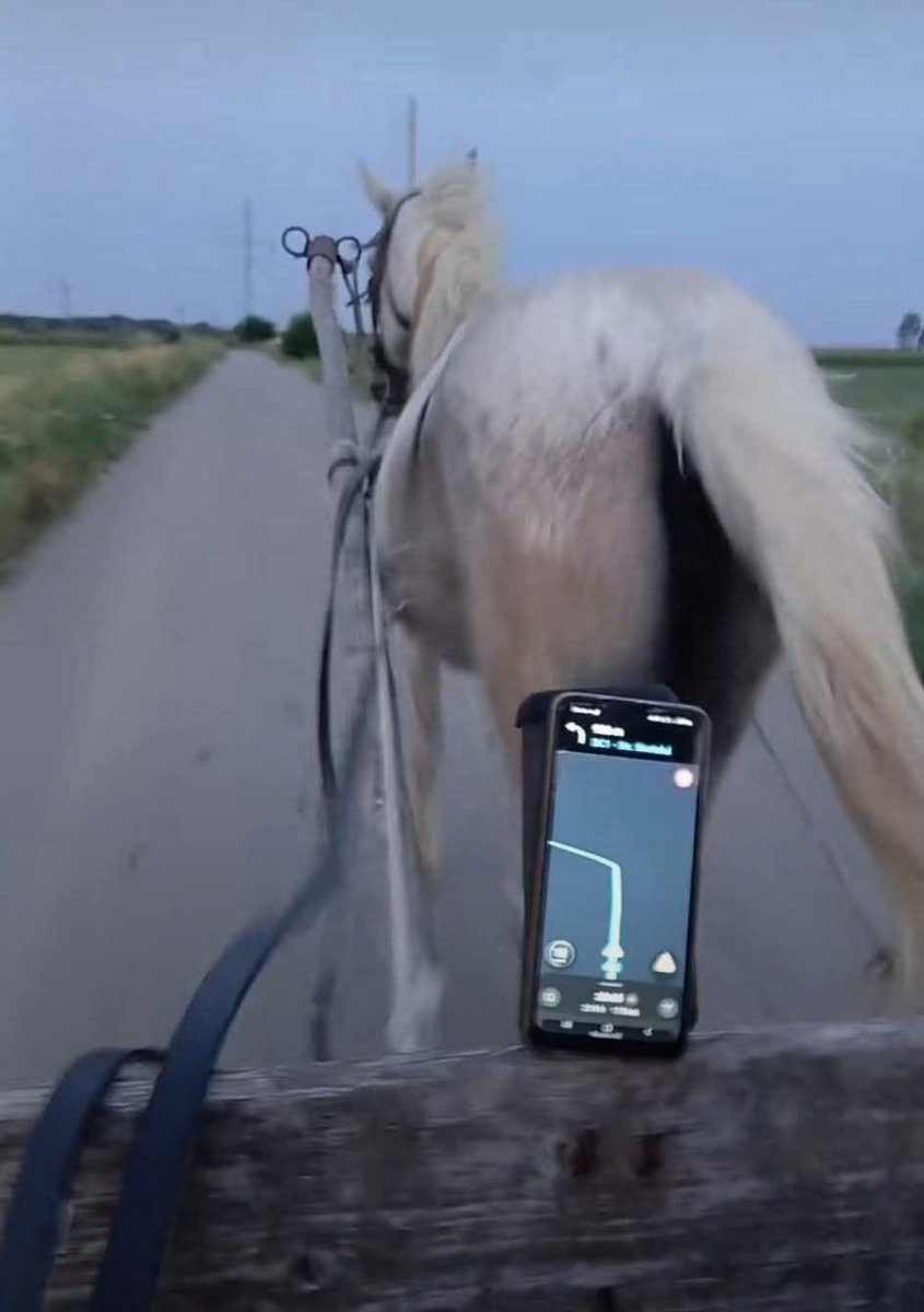 capturebizarre's tweet photo. El Uber de la pampa https://t.co/cUP5nDnZ9J