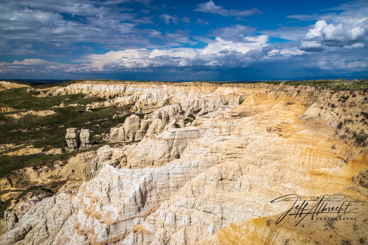 MontanaImages tweet media