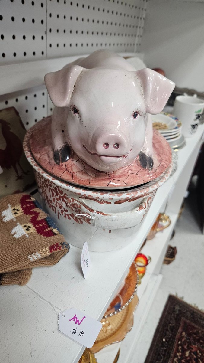 LizardLoveShack's tweet photo. Assorted pigs https://t.co/l2OCxoluah