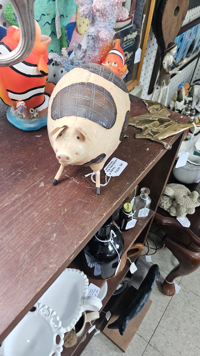 LizardLoveShack's tweet photo. Assorted pigs https://t.co/l2OCxoluah