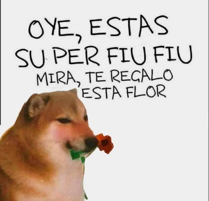 Caropalacios24 🩵✨ tweet media