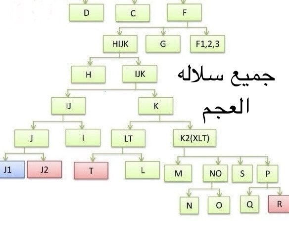 بحر الشوق tweet media