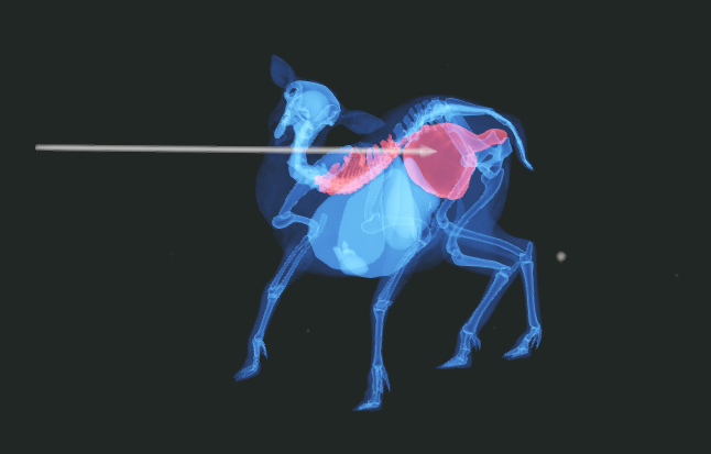 Hashi2070's tweet photo. 迫真のしゃがみ体勢で肺を守るマニトバヘラジカ https://t.co/4Kex7MvTqJ