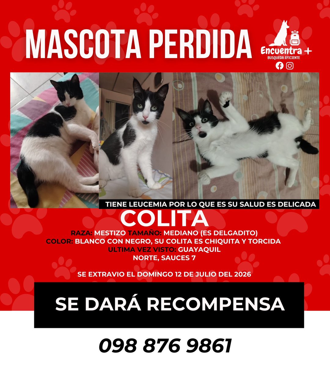 Emergencias Ec tweet media