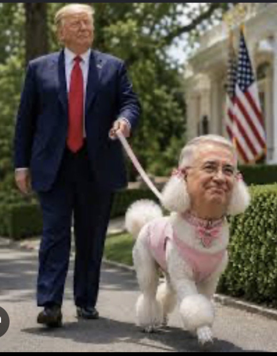 Jerjesll's tweet photo. @RobertoGCI @pedroferriz3 @lopezobrador_ @Claudiashein Naaaa, no mames amigo Rito, la única, real y verdadera es: #LaPerritaDeTrump. https://t.co/wgwXNrZ0gC
