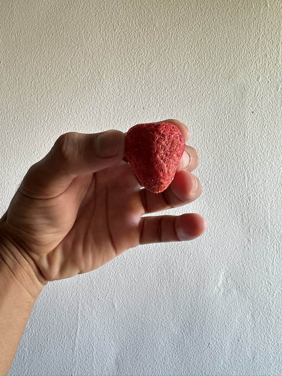 Kebun Stroberi tweet media