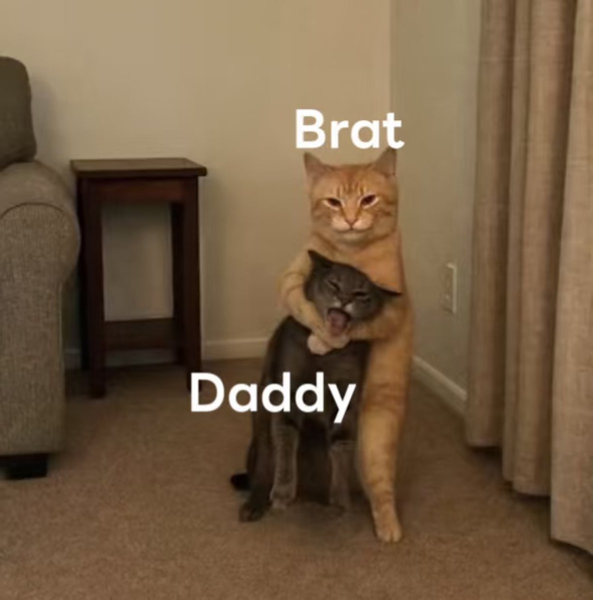 dnypbdht's tweet photo. 今天突然意识到自己的brat属性 现在回过头来想想 之前的上级真的是被我暗地调成S了 只不过他也很头痛我也很头痛 https://t.co/PxibZO4ISH