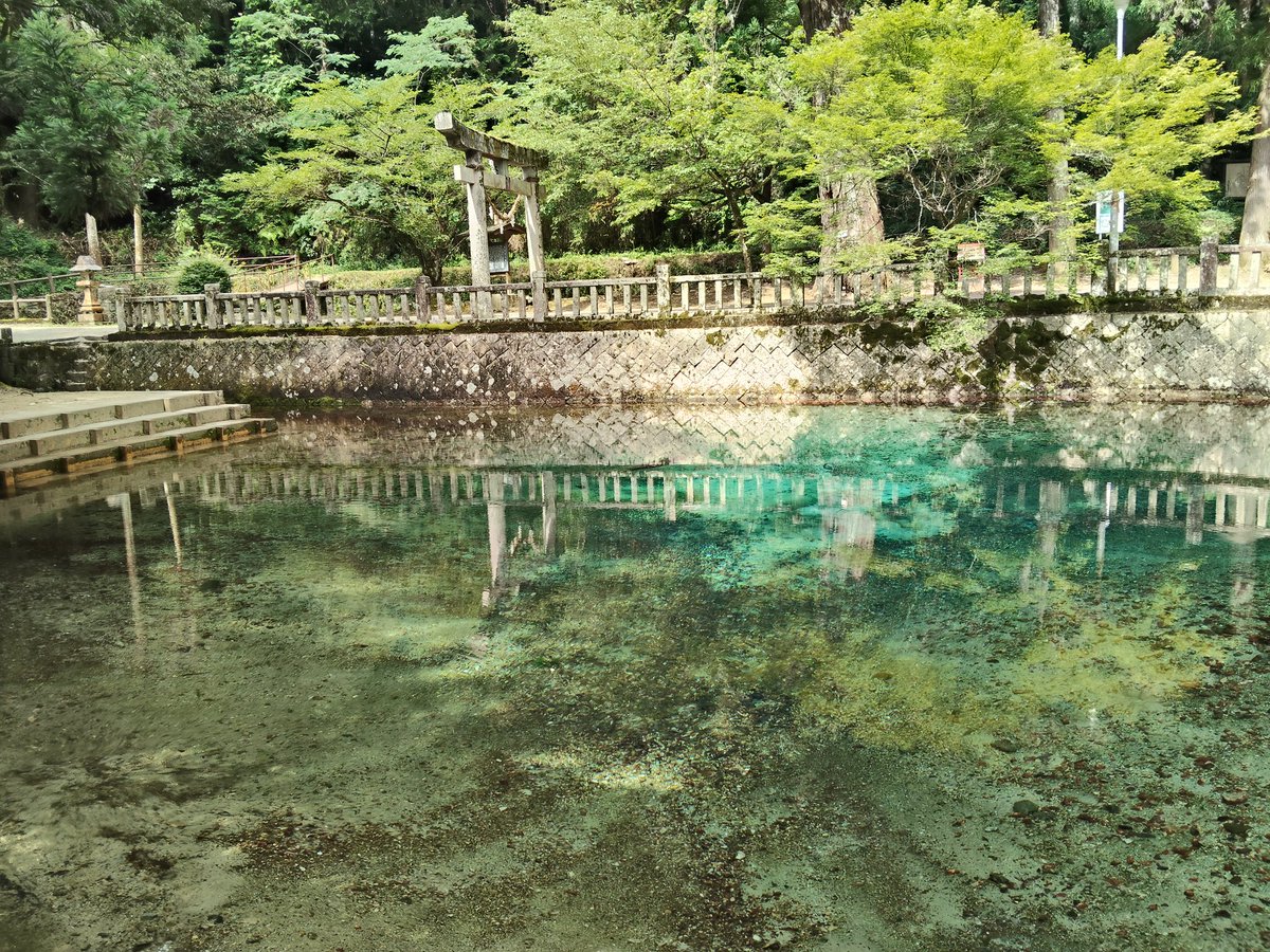 hidedondai's tweet photo. 1泊2日山口・島根への小旅行。続100名城にも行ってきます。スタートは美祢市にある、南国の海のような別府弁天池。いやされました〜 https://t.co/1EzmRcJ7CP