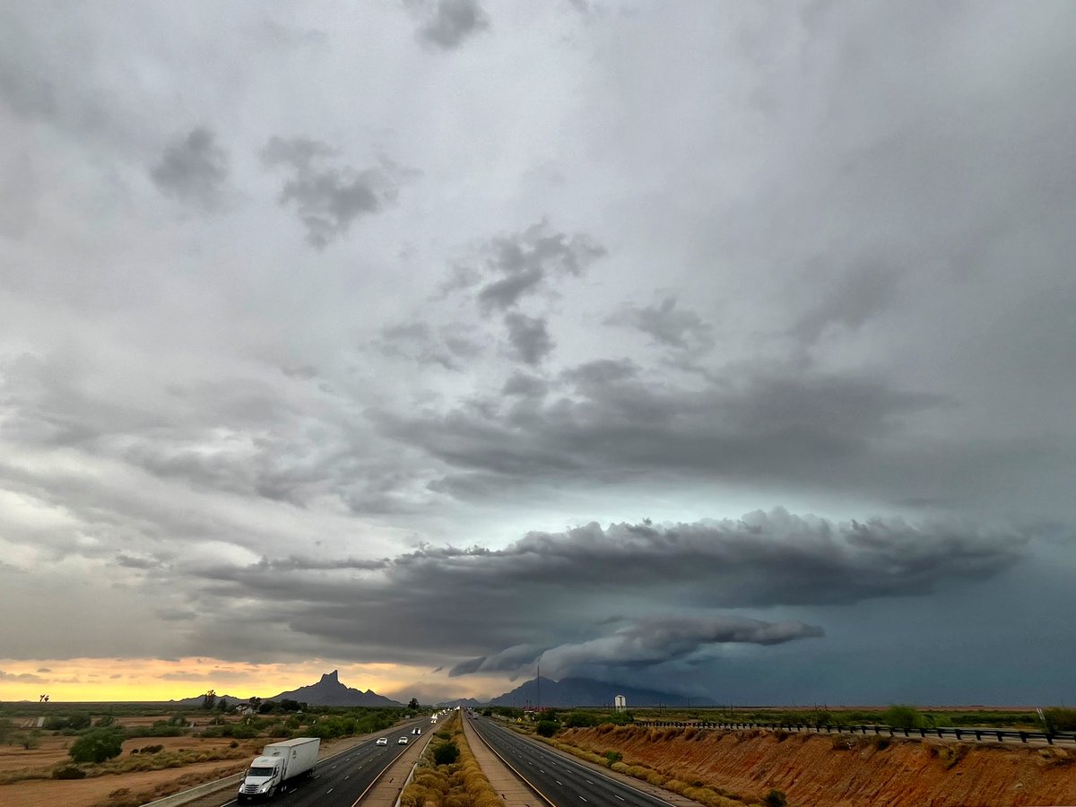 Jocelyn⚡️🌪️🌵 tweet media