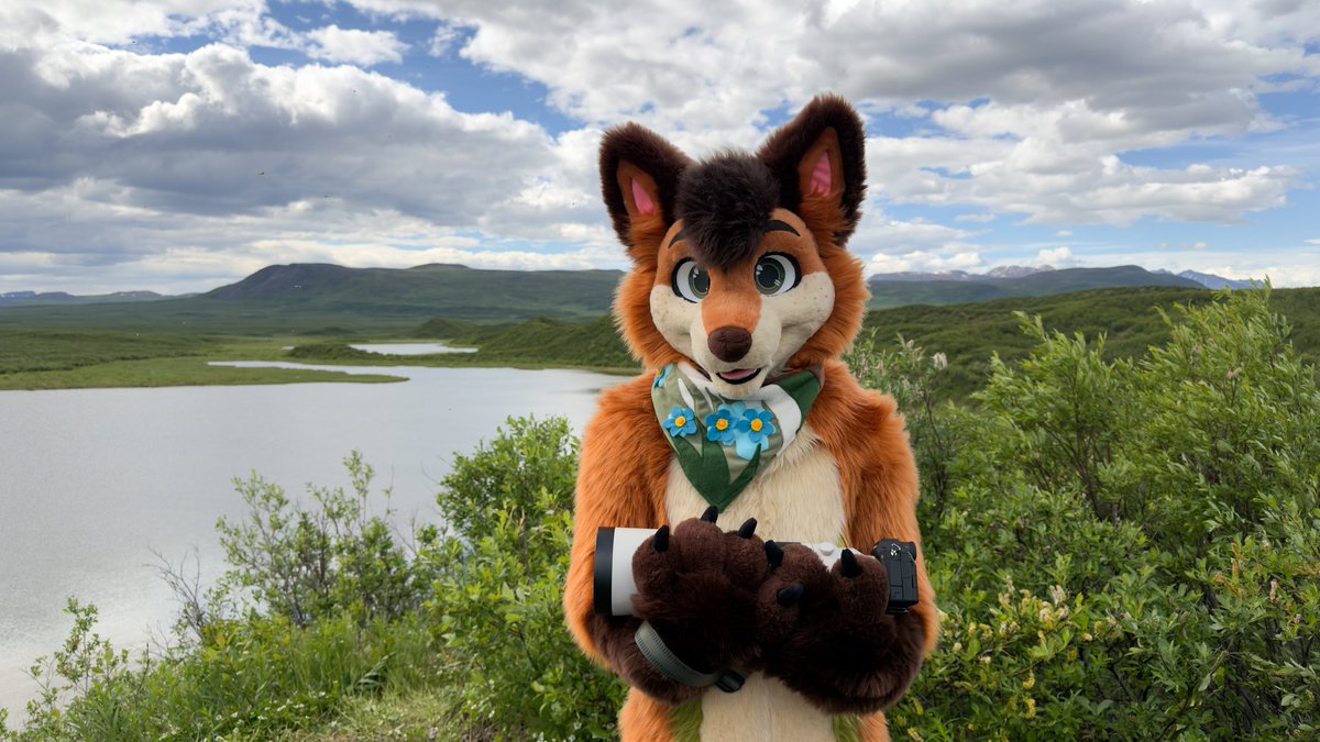 Timber tweet media