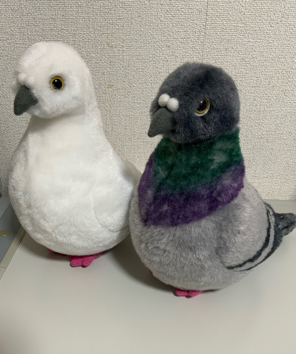 ぬいぐるみの童心【公式】🥺 (@Dousin_kawaii) / Posts / X