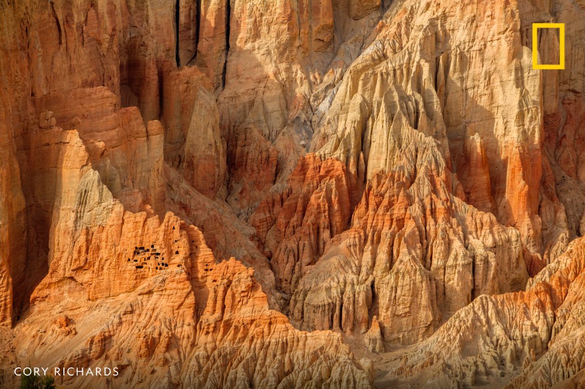 NatGeo's tweet photo. Thousands of mysterious "sky caves" were hand-dug out of the cliffs in Mustang, Nepal, and no one knows exactly why or who made them. https://t.co/TZTS5C4LCO