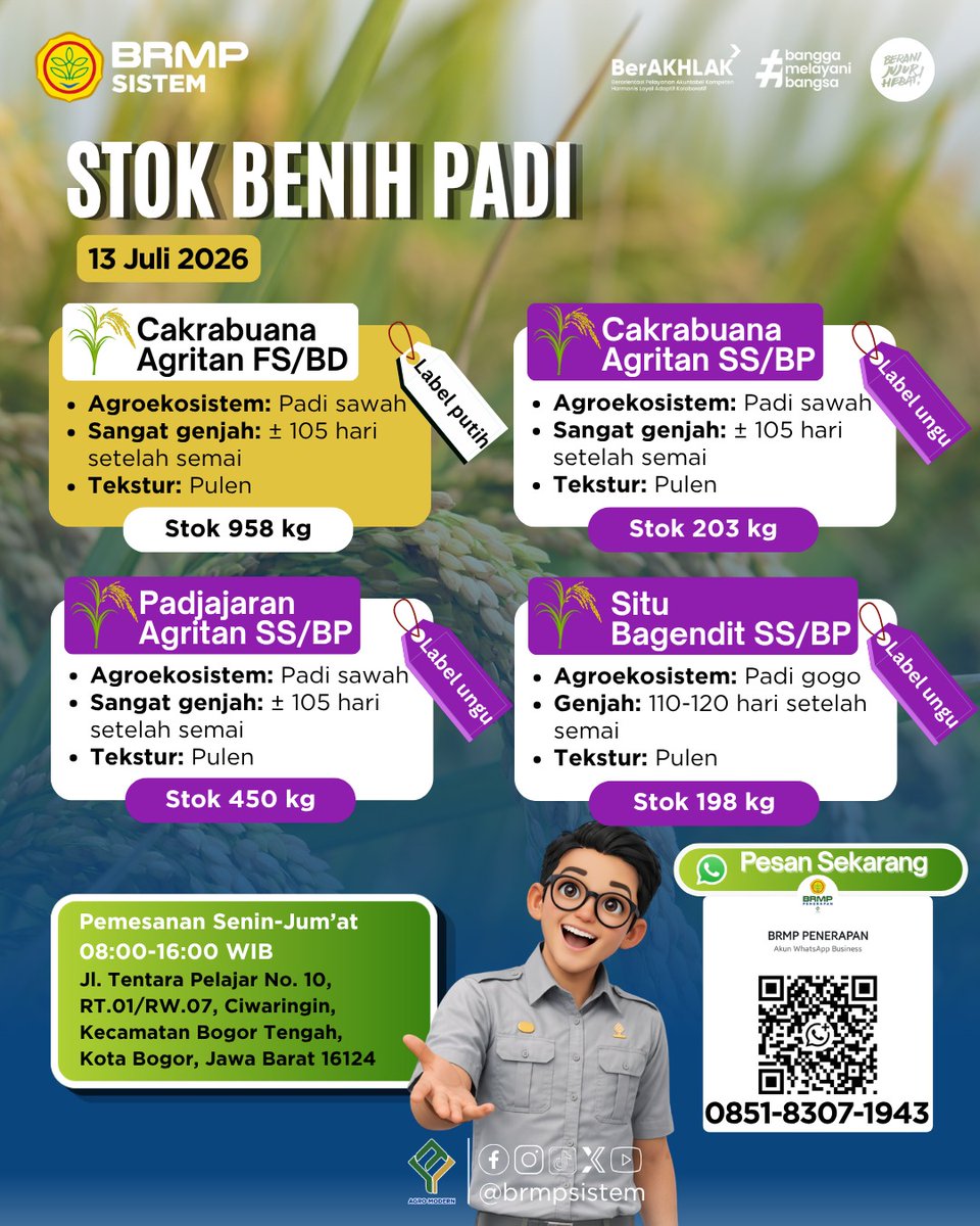 brmpsistem's tweet photo. Stok Benih Padi Tersedia!

Kabar baik untuk para petani 🌱
Stok benih padi kelas FS &amp; SS per 13 Juli 2026 masih tersedia dengan berbagai varietas unggul seperti Cakrabuana Agritan, Situ Bagendit, dan Padjajaran Agritan. https://t.co/bW8WYlzHVA