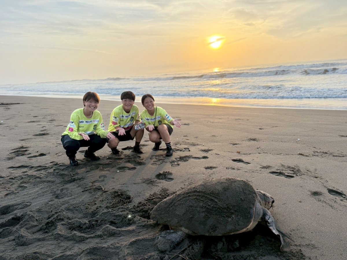 viamaterras2020's tweet photo. ＼ウミガメに会いに行こう🐢／

7/13(月)、富田浜へウミガメに会いに行ってきました！
宮崎県野生動物研究会新富南班の皆様のご協力のもと、約1週間、毎朝待ち続け、ようやくその姿を見ることができました✨

詳しくはこちら⬇️
https://t.co/AdS5IgtKXJ

#ヴィアマ
#アカウミガメ
#新富町
#富田浜 https://t.co/7oq8PzmLPo