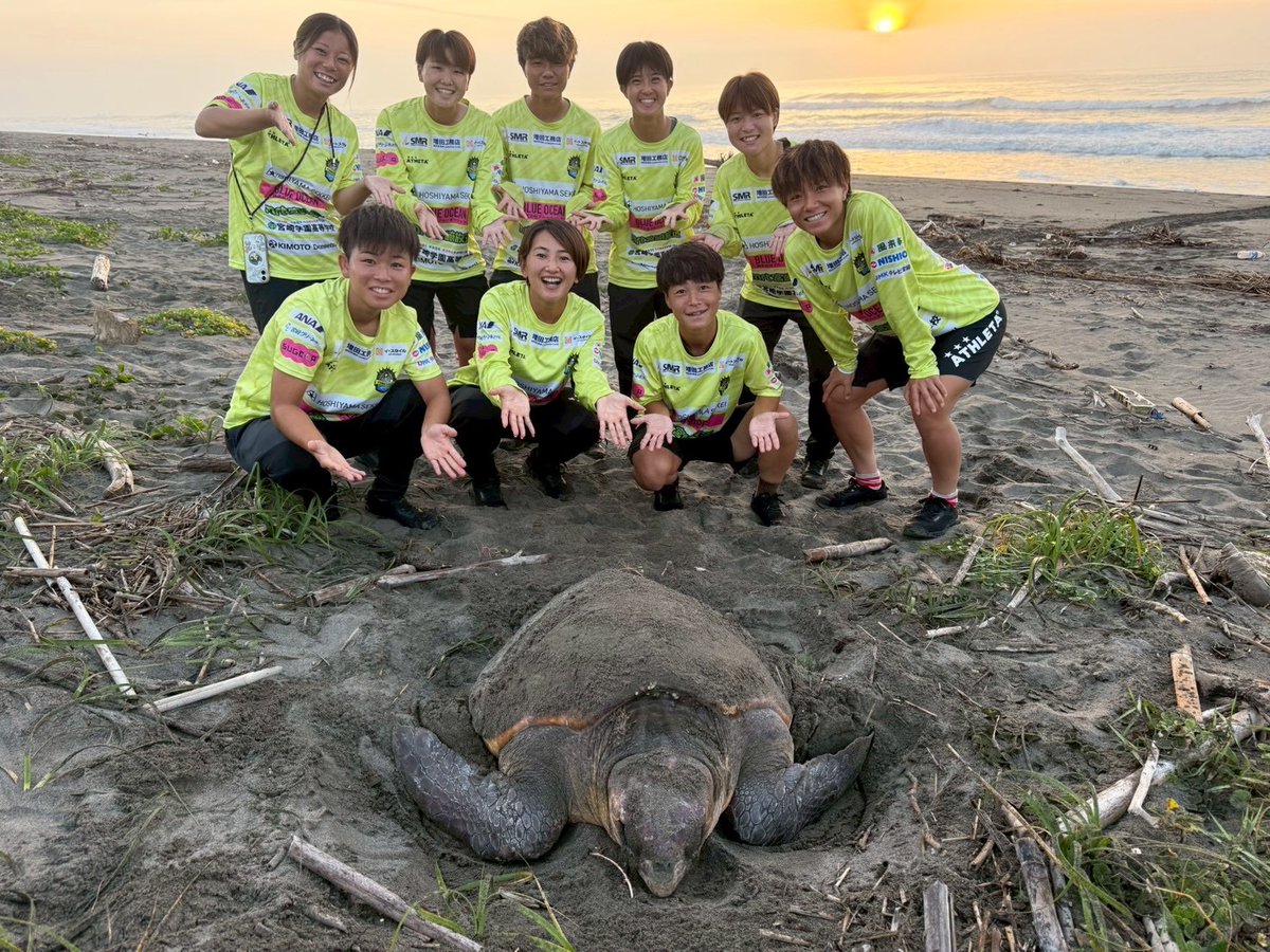 viamaterras2020's tweet photo. ＼ウミガメに会いに行こう🐢／

7/13(月)、富田浜へウミガメに会いに行ってきました！
宮崎県野生動物研究会新富南班の皆様のご協力のもと、約1週間、毎朝待ち続け、ようやくその姿を見ることができました✨

詳しくはこちら⬇️
https://t.co/AdS5IgtKXJ

#ヴィアマ
#アカウミガメ
#新富町
#富田浜 https://t.co/7oq8PzmLPo