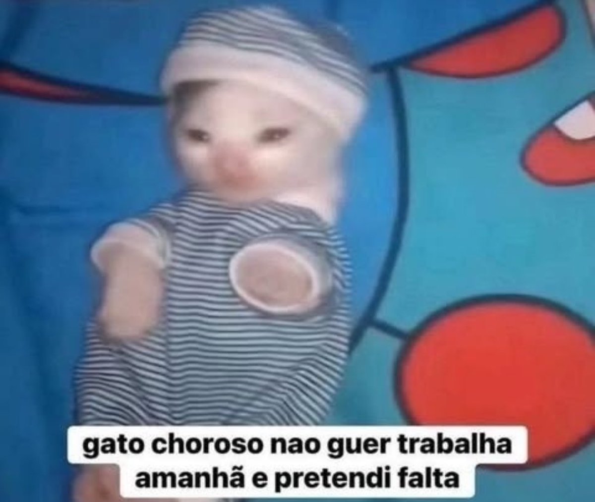shitpostverdade's tweet photo. https://t.co/rPEUnWAjza
